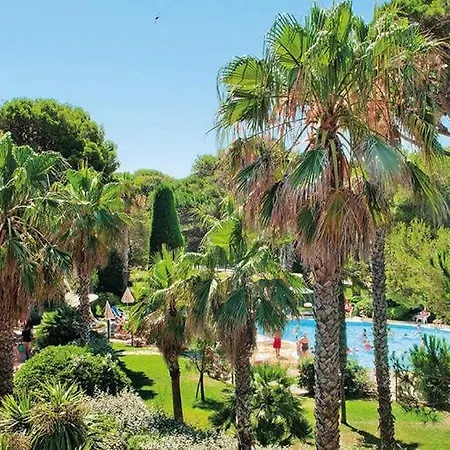 Aparthotel La Badine 5p Piscine Clim Jacuzzi Parc Luxuriant Hyeres