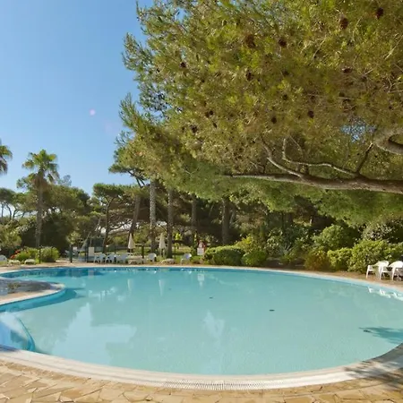 La Badine 5p Piscine Clim Jacuzzi Parc Luxuriant Hyeres