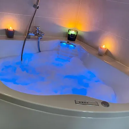 La Badine 5p Piscine Clim Jacuzzi Parc Luxuriant * Hyeres