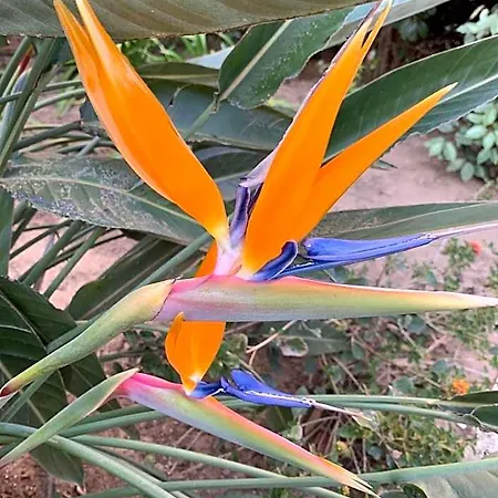 Ξενοδοχείο με διαμερίσματα La Badine 5 Personnes Avec Balneo Et Clim Ιέρ