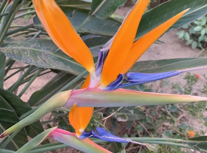 La Badine Acces Direct A La Clim Balneo Piscine מלון דירות הייר