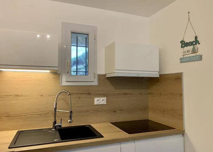 מלון דירות La Badine Acces Direct A La Clim Balneo Piscine 4*